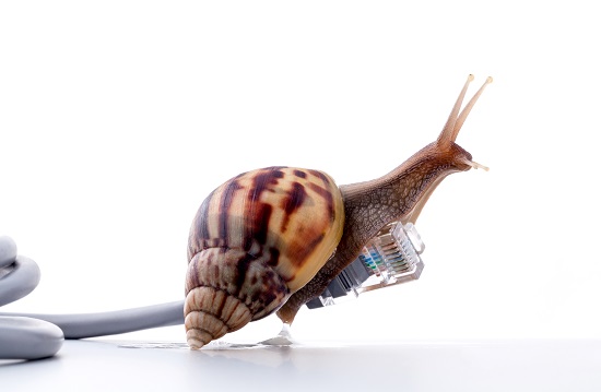 slownetwork
